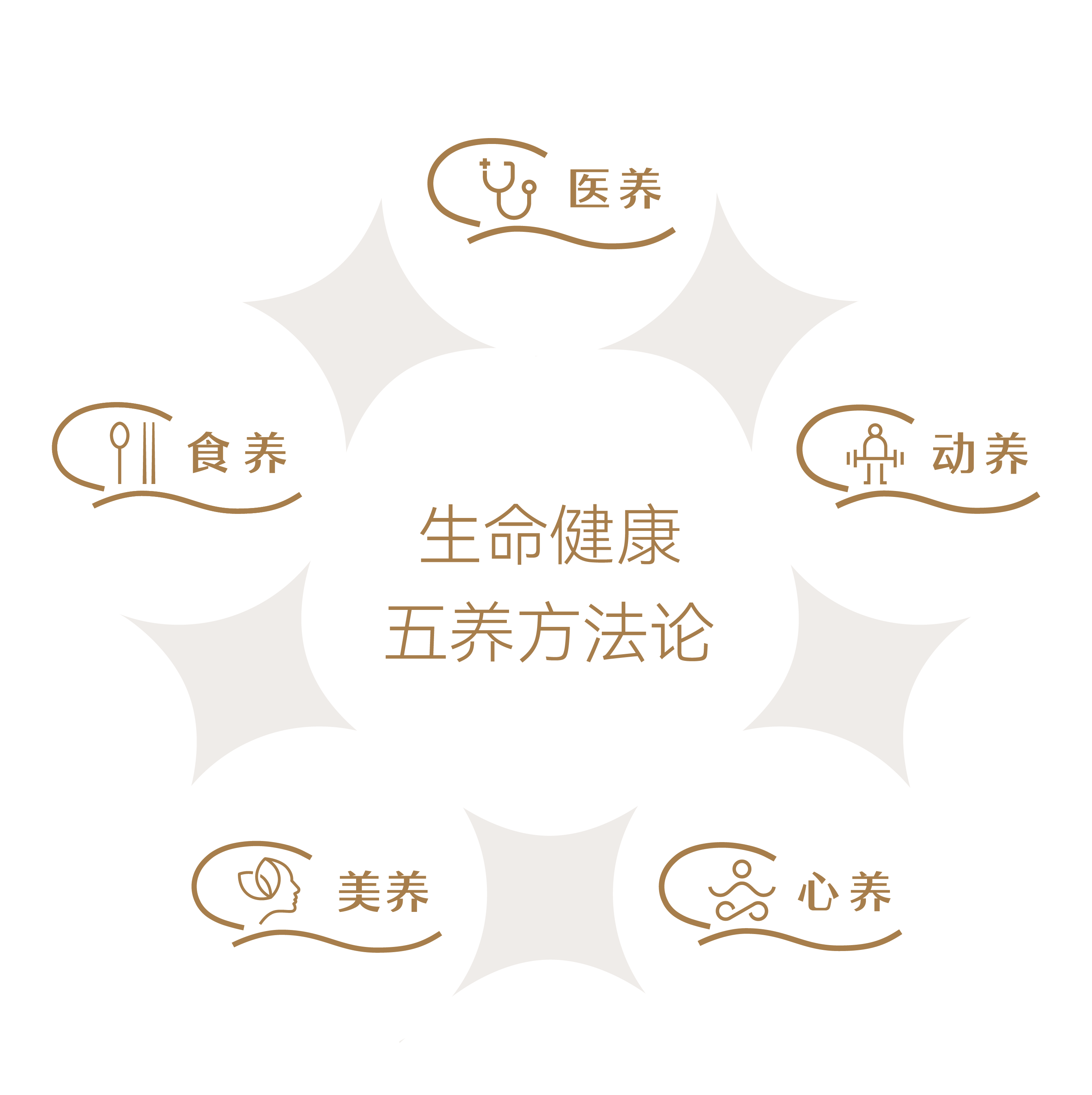生命健康五养方法论